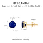 5 MM Round Blue Sapphire Solitaire Stud Earrings in Claw Setting Blue Sapphire - ( AAA ) - Quality - Rosec Jewels